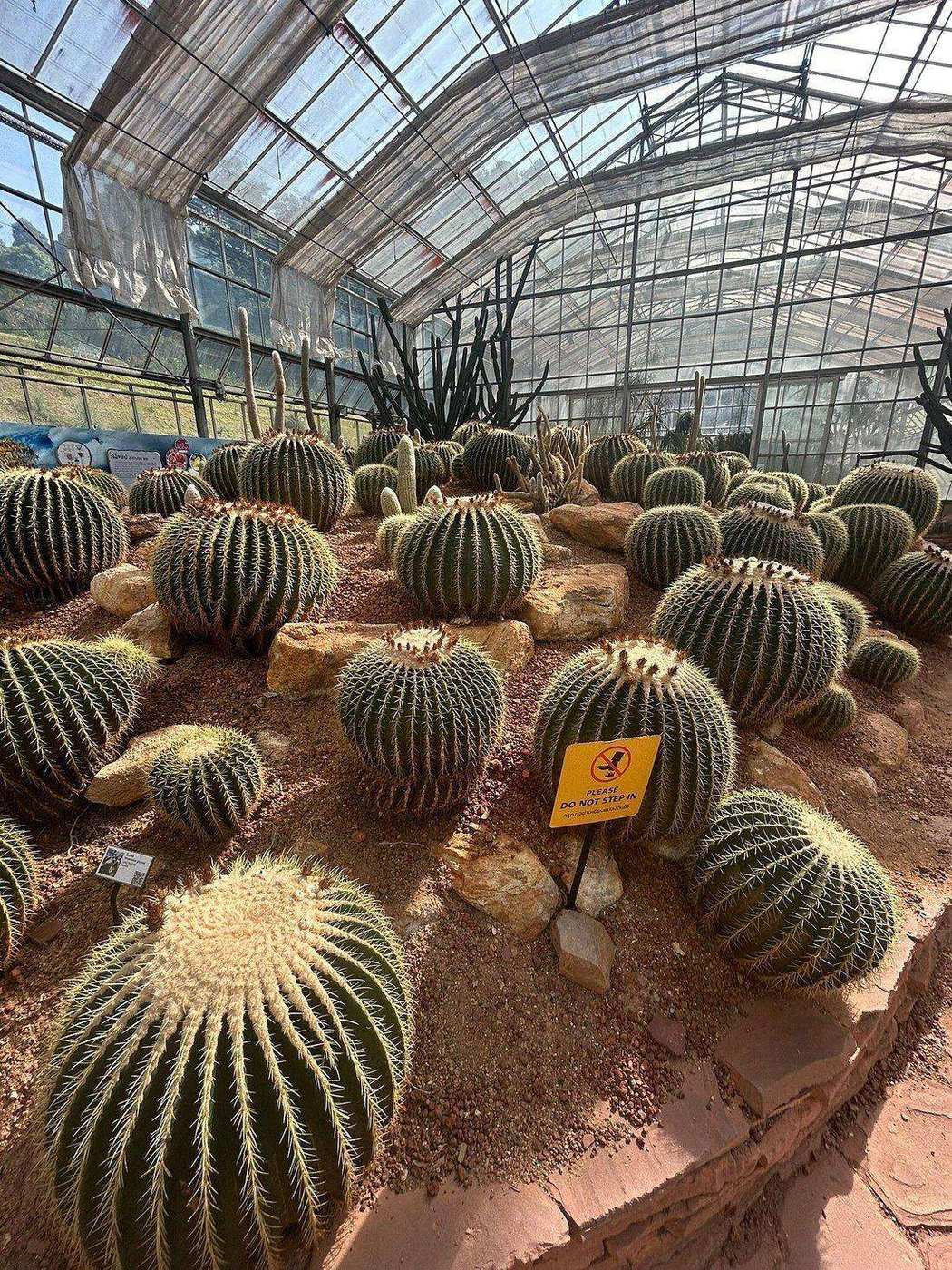 Queen Sirikit Botanic Garden